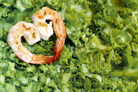Peeled shrimps in heart shape on bed of green lettuceの写真素材