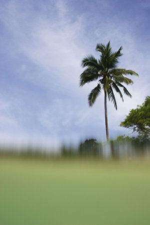 View of tropical beach with camera half underwaterの写真素材