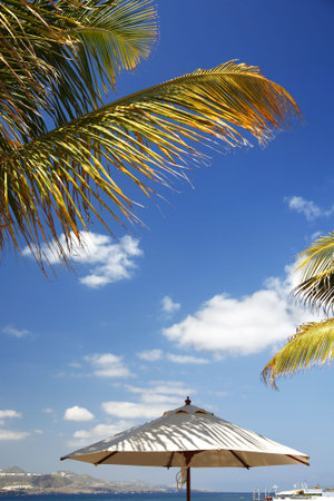 White parasol with palm leaves and shadowsの写真素材