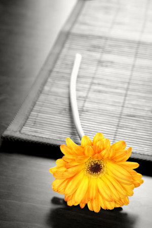 Yellow gerber daisy on table with selective desaturationの写真素材