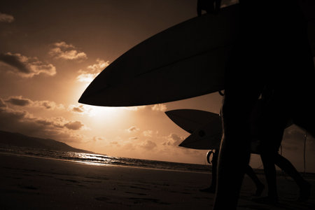 Surfers going into the water at sunsetの写真素材