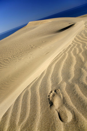 Single footprint on sand dunes with sea and skyの写真素材