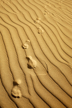 Human footprints across a textured sand duneの写真素材
