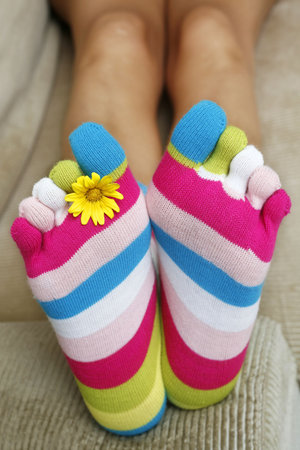 Bright socks and a daisy on the sofaの写真素材