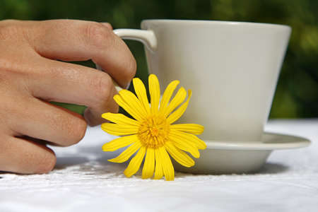 Coffee cup with yellow daisy and green backgroundの写真素材