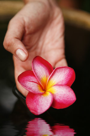 Hand offering magnolia flower over dark waterの写真素材