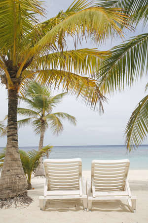 Really nice tropical beach with empty loungersの写真素材