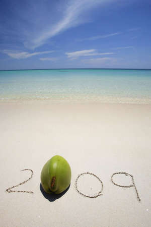 2009 written in the san with a coconut as a zero