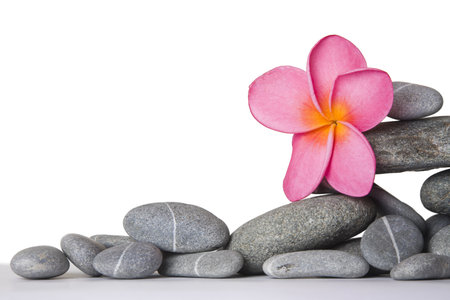 Stack of pebbles and pink frangipani flower with white backgroundの写真素材