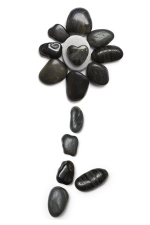 Stone flower over whiteの写真素材