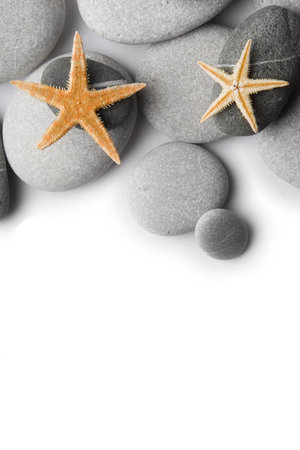 Starfish on Pebbles as a border with a white backgroundの写真素材
