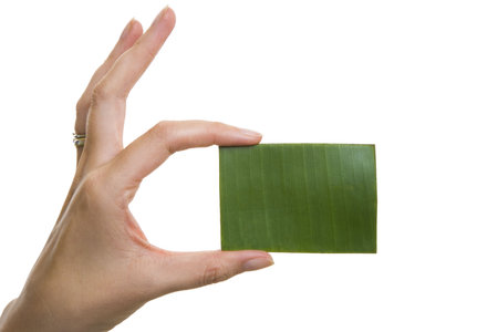 Woman's hand holding up green business card, isolated over whiteの写真素材