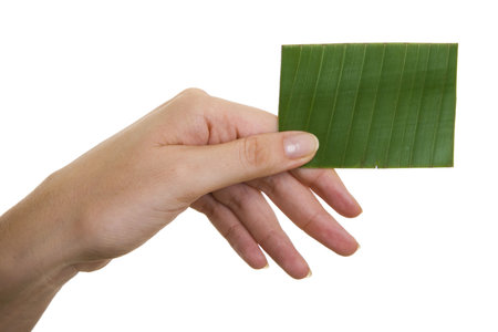 Woman's hand holding up green business cardの写真素材