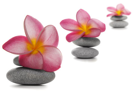 Three pebble piles with beautiful pink frangipani flowersの写真素材
