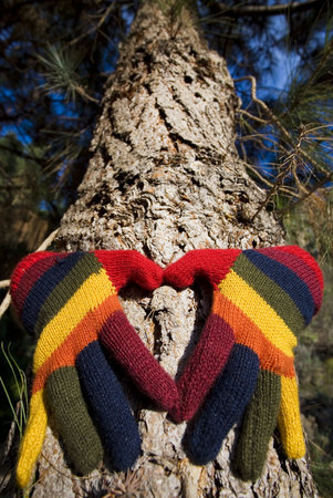 Womans hands in colorful gloves making a heart shape om a pine tree trunkの写真素材