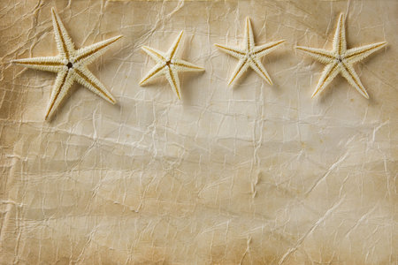 Old foxed paper background with small starfish の写真素材