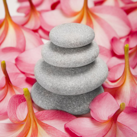 Stack of white pebbles surrounded by Frangipani flowersの写真素材