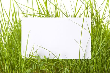 Rectangular white sign anongst fresh green grass bladesの写真素材