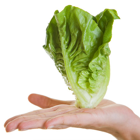 Hand over white balancing a lettuceの写真素材