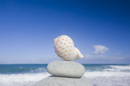 Seashell and pebble stack by the seaの写真素材