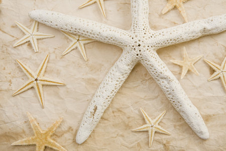 Background made up of starfish and old paper.