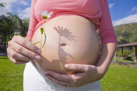 Close up of pregnant woman holding a daisy. Nice green background and shadow on the belly.の写真素材