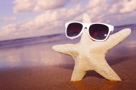 Starfish in sunglasses at sunset.の写真素材