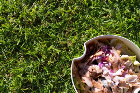 White bucket of vegetable and fruit peels set against short green grassの写真素材
