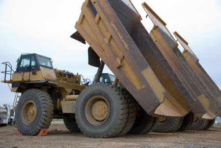 Large yellow dump trucks lined up with beds elevatedの写真素材