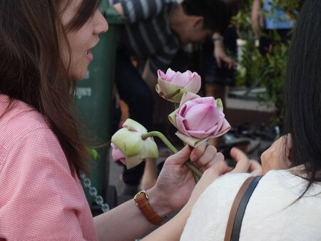 Wat Pathum Wanaram, Bangkok - March 7, 2012 - Makha Bucha Day, Thai girls rolling the lotus petal before use for warship.のeditorial素材