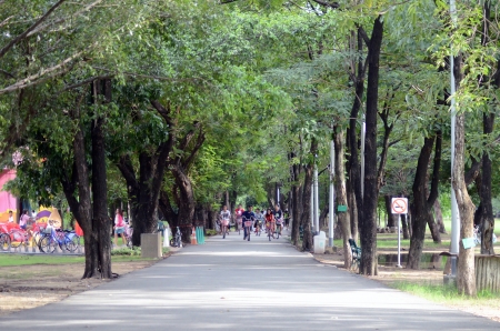Riding a bicycle in a public park.の写真素材