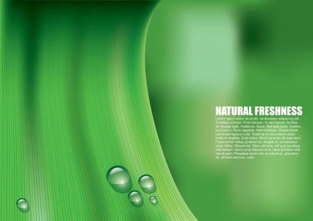nature compositionのイラスト素材