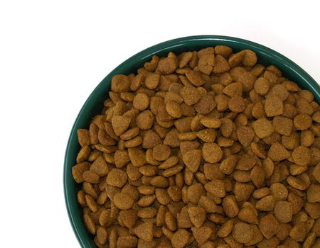 filled dish of dog food