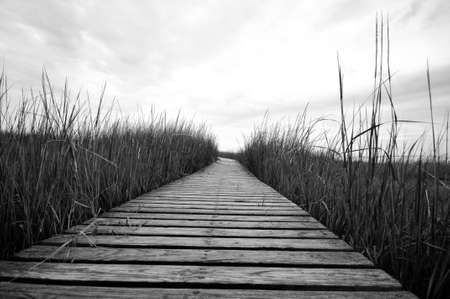 Cape Cod Boardwalkの写真素材