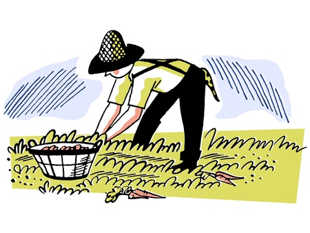 An illustration of a man working in the fieldsの写真素材
