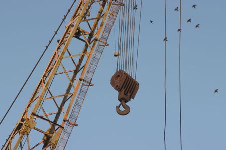 The a giant hook dangles down from a giant crane. Birds use it as a perch.