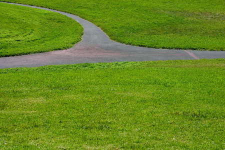Three intersecting paths through a green field of grass.の写真素材