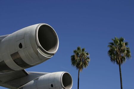 A section of a jumbo jet, viewed from below, with palm trees trailing behind.