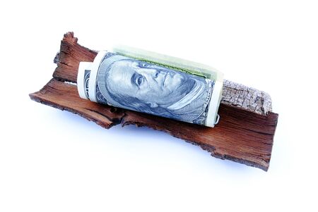 Currency of the United States isolated backgroundの写真素材