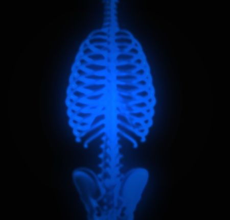 illustration of the body under x-ray
