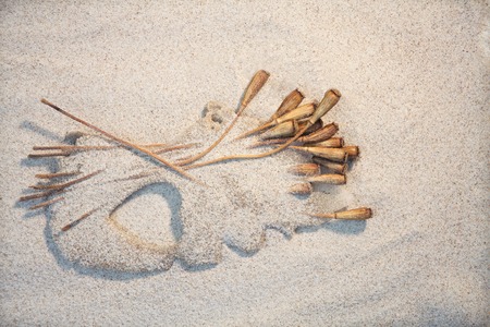 dose syringes scattered on the floorの写真素材