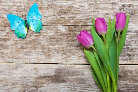 purple tulips on wooden backgroundの写真素材