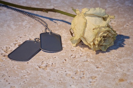 dried rose with military dog tags on stoneの写真素材