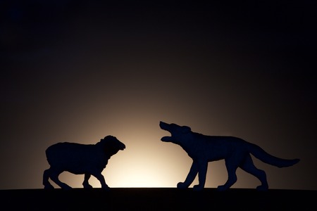 concept conflict.Sheep versus wolf silhouetteの写真素材