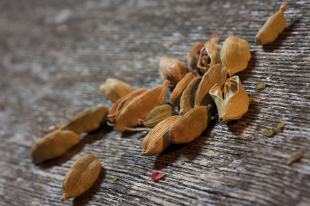 Cardamon pods on wooden backgroundの写真素材