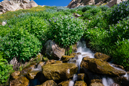 Indian Peaks Wilderness, Ward Colorado.の写真素材