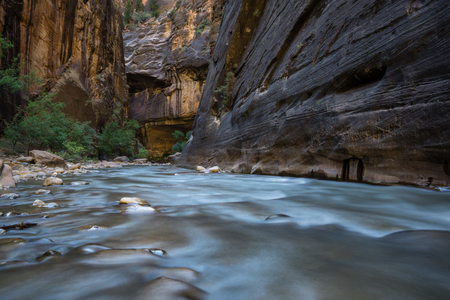 The Narrows, Zion National Park.の写真素材