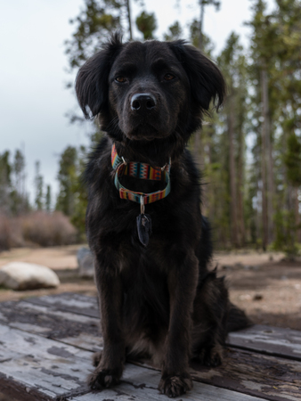 Grand Lake, Colorado on a late winter road trip.の写真素材
