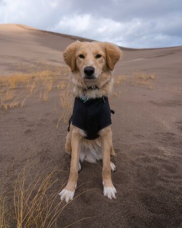 Great Sand Dunes National Park - Alamosa, Colorado.の写真素材