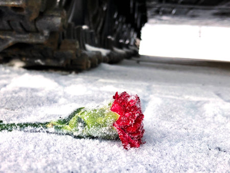 Carnation under the tank caterpillarの写真素材